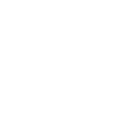 LogoSystem logo