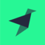 Tinybird Analytics logo